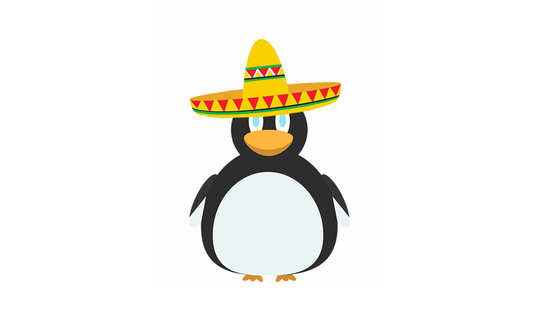 penguin with sombrero