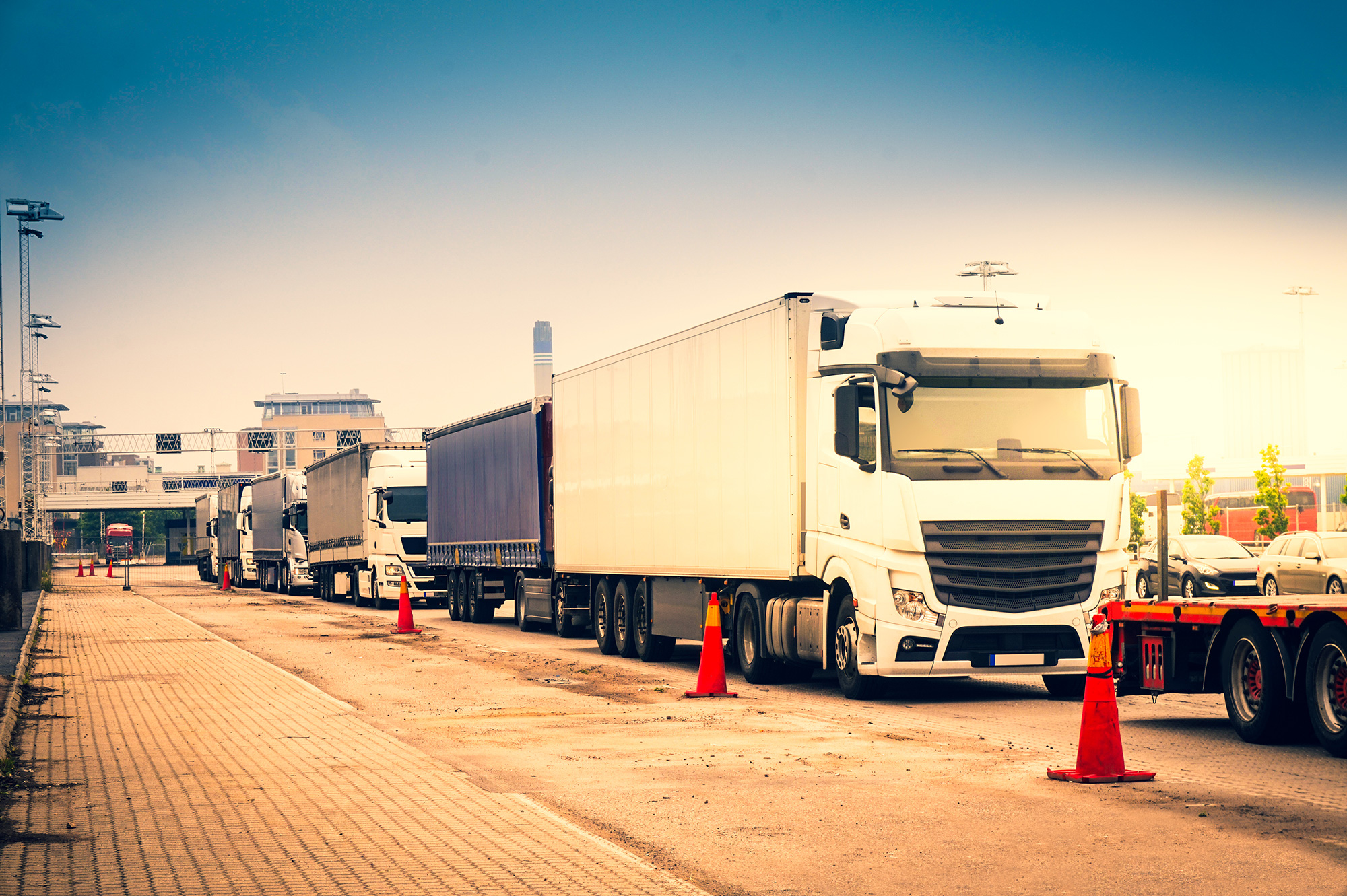 When Customs Goes Wrong: The Ripple Effects of Small Mistakes